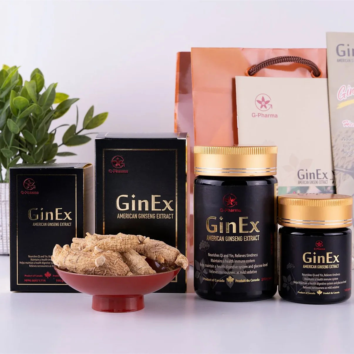 GinEx® 100克人參萃取物濃縮液(純)(2瓶) G-Pharma 加拿大