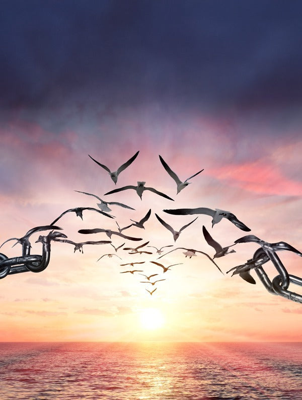 翻牆專屬鏈接 您的私人專用通道